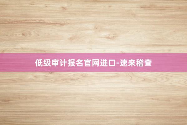 低级审计报名官网进口-速来稽查